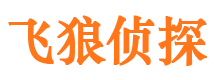 武定市婚外情调查